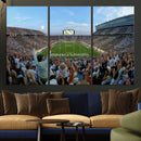 Michigan State Spartans Football Team Art Print - East
