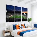Michigan State Spartans Football Team Print - East Lansing