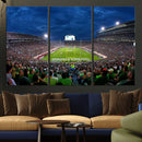 Michigan State Spartans Football Team Print - East Lansing