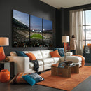 Michigan State Spartans Football Team Print - East Lansing