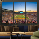 University of Minnesota Golden Gophers Art Print, Football by MyGreatCanvas | Canvas Wall Art Prints | Photo Prints & Wall Decor