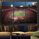 Ohio State University Buckeyes Football Team Print -
