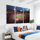 Ohio State University Buckeyes Football Team Print -