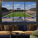 Rice University Owls Football Team Print - Houston Rice by MyGreatCanvas | Canvas Wall Art Prints | Photo Prints & Wall Decor