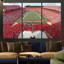 Rutgers Scarlet Knights Football Team Print - Piscataway SHI by MyGreatCanvas | Canvas Wall Art Prints | Photo Prints & Wall Decor