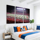 Rutgers University Scarlet Knights Football Team Print -