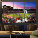 Stanford University Cardinal Football Team Print - Stanford