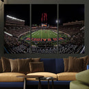 Framed Texas Tech Red Raiders Stadium Canvas, Texas Tech Red by MyGreatCanvas | Canvas Wall Art Prints | Photo Prints & Wall Decor
