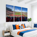 Ball State Cardinals Football Team Print - Muncie Scheumann