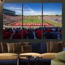 Ball State Cardinals Football Team Print - Muncie Scheumann