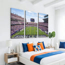TCU Horned Frogs Football Team Print - Fort Worth Amon G.