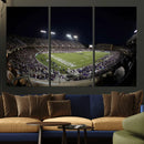 TCU Horned Frogs Football Team Print - Fort Worth Amon G.