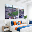 The Texas Christian University TCU Horned Frogs Football