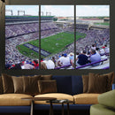The Texas Christian University TCU Horned Frogs Football