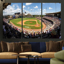 The Texas A&M University Aggies Athletics Team Print -