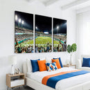 The Tulane University Green Wave Football Team Print - New