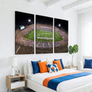 The University of Connecticut UCONN Huskies Football Team