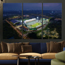 The University of South Florida Bulls Football Team Print - by MyGreatCanvas | Canvas Wall Art Prints | Photo Prints & Wall Decor