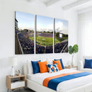 The Duke University Blue Devils Football Team Print - Durham