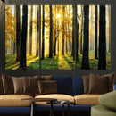 Sunlit Forest Wall Art Canvas Print – Large Framed Woodland