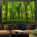 Lush Green Forest Canvas Print | 3-Panel Forest Wall Art |