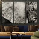Elephant Wall Art Canvas Print