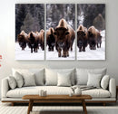 Bison Wall Art Canvas Print- Bison Herd Canvas Wall Art –