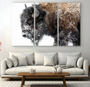 American Bison Wall Art Print – Majestic Buffalo Canvas