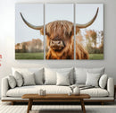 Highland Cow Animal Scottish Cattle Art Print Farmhouse Wall