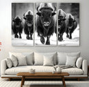 American Bison Art | Buffalo Herd Wall Art Canvas Print, BW