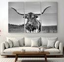 Texas Longhorn Cow Wall Art, Texas Longhorn Canvas, Cattle