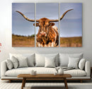 Texas Longhorn Wall Art Print, Framed Longhorn Cow Wall Art