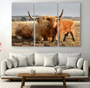 Highland Cow Canvas Wall Art Animal Print for Farm House