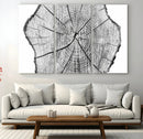 Rustic Tree Ring Wall Art Canvas Print – Framed and Ready to