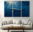 Whale under Ocean Wall Art Canvas Print
