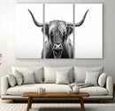 Highland Wall Art Canvas Print – Minimalist Black and White