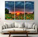 Golden Sunflower Field at Sunset – Breathtaking Sky and
