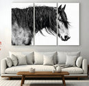 Majestic Horse Wall Art – Framed Black White Portrait Canvas by MyGreatCanvas | Canvas Wall Art Prints | Photo Prints & Wall Decor