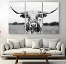 Highland Cow Wall Art Canvas Print – Black and White Western