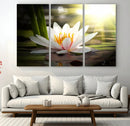 Lotus Flower Wall Art Canvas Print, Water Lily Large Wall