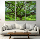 Ancient Tree Wall Art Canvas Print, Framed Sprawling by MyGreatCanvas | Canvas Wall Art Prints | Photo Prints & Wall Decor