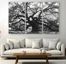 Ancient Oak Wall Art Canvas Print – Gnarled Tree Twisted by MyGreatCanvas | Canvas Wall Art Prints | Photo Prints & Wall Decor