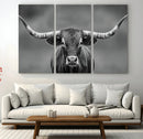 Texas Longhorn Wall Art Canvas Print – Framed Western Bull