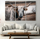 Texas Longhorn Wall Art Canvas Print – Framed Spotted Bull