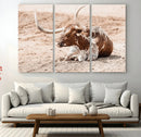 Texas Longhorn Wall Art Canvas Print – Framed Resting Bull by MyGreatCanvas | Canvas Wall Art Prints | Photo Prints & Wall Decor
