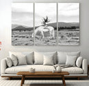 White Horse Wall Art Canvas Print – Framed Woman Rider