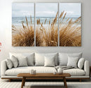 Beach Grass Wall Art – Framed Coastal Dunes Canvas Artwork, by MyGreatCanvas | Canvas Wall Art Prints | Photo Prints & Wall Decor