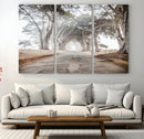 Cypress Tunnel Wall Art – Framed Misty Road Canvas Artwork, by MyGreatCanvas | Canvas Wall Art Prints | Photo Prints & Wall Decor