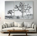 Joshua Trees Wall Art Canvas Print – Framed Black White