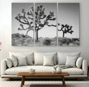 Joshua Tree Wall Art Canvas Print – Framed Monochrome Desert